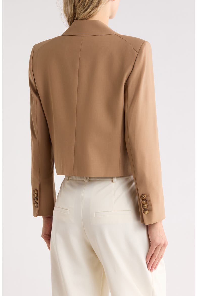 Wilkie Cropped Jacket, Alternate, color, HAZELNUT