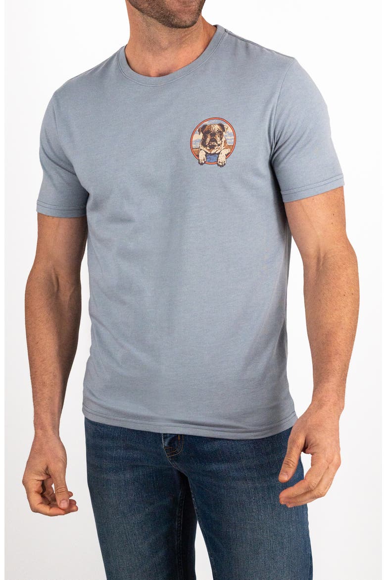 Cotton Blend Graphic T-Shirt, Main, color, DUSTY BUE