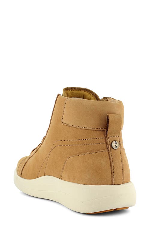 Strive Kensington High Top Sneaker In Brown