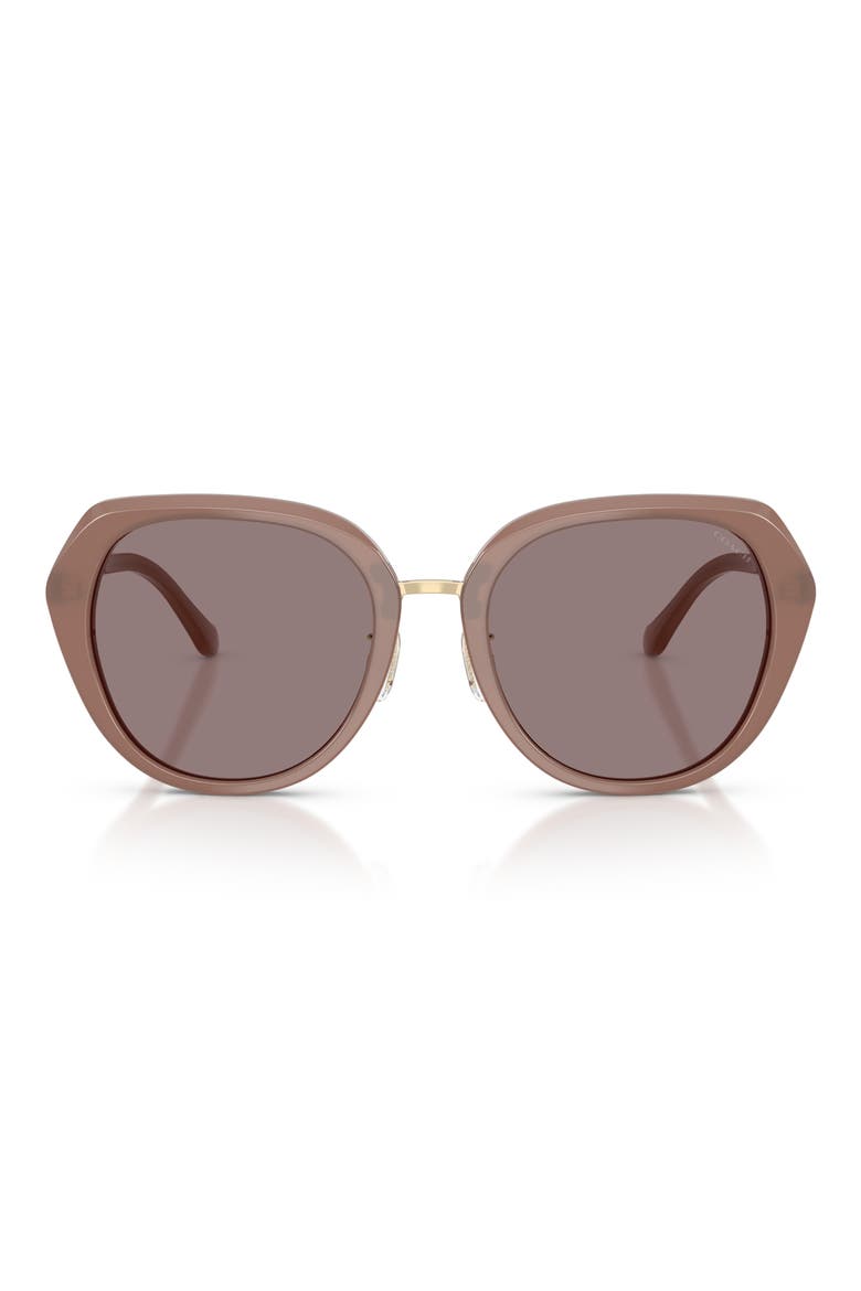 55mm Irregular Round Sunglasses, Main, color, MILKY PUTTY / PURPLE SOLID