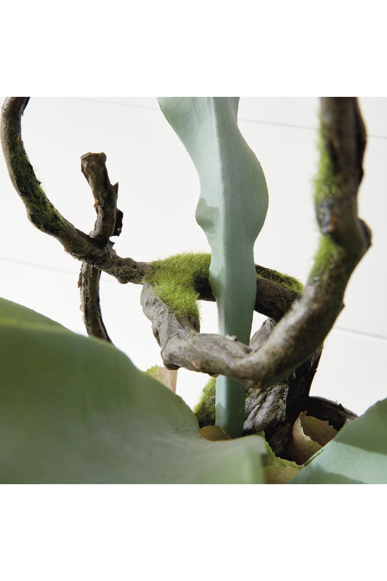 Staghorn Fern Drop-In 22", Alternate, color, Green