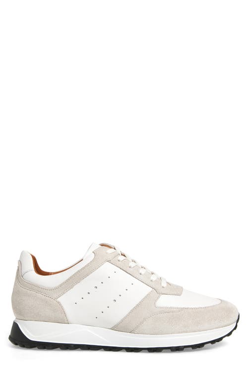 Allen Edmonds Everett Sneaker