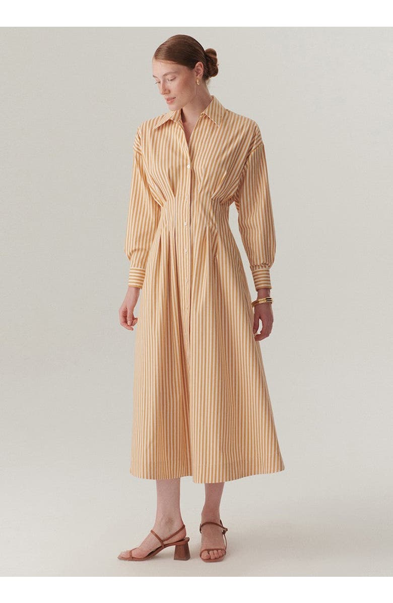 Exquise Waist Shirt Collar Midi Dress, Alternate, color, Camel Beige