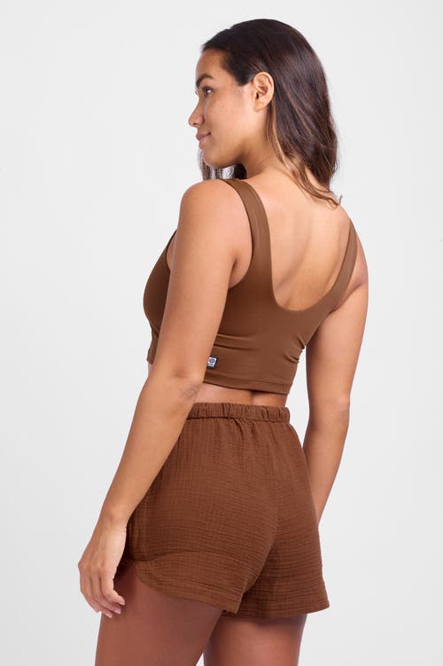 Jolyn Tay Short In Brown