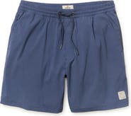 Marine Layer Navy/Blue Striped Lined Sport Hybrid Swim Shorts