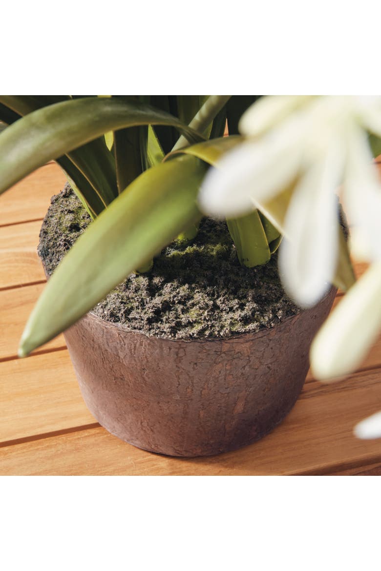 Agapanthus Drop-In Faux (Fake) 29", Alternate, color, White