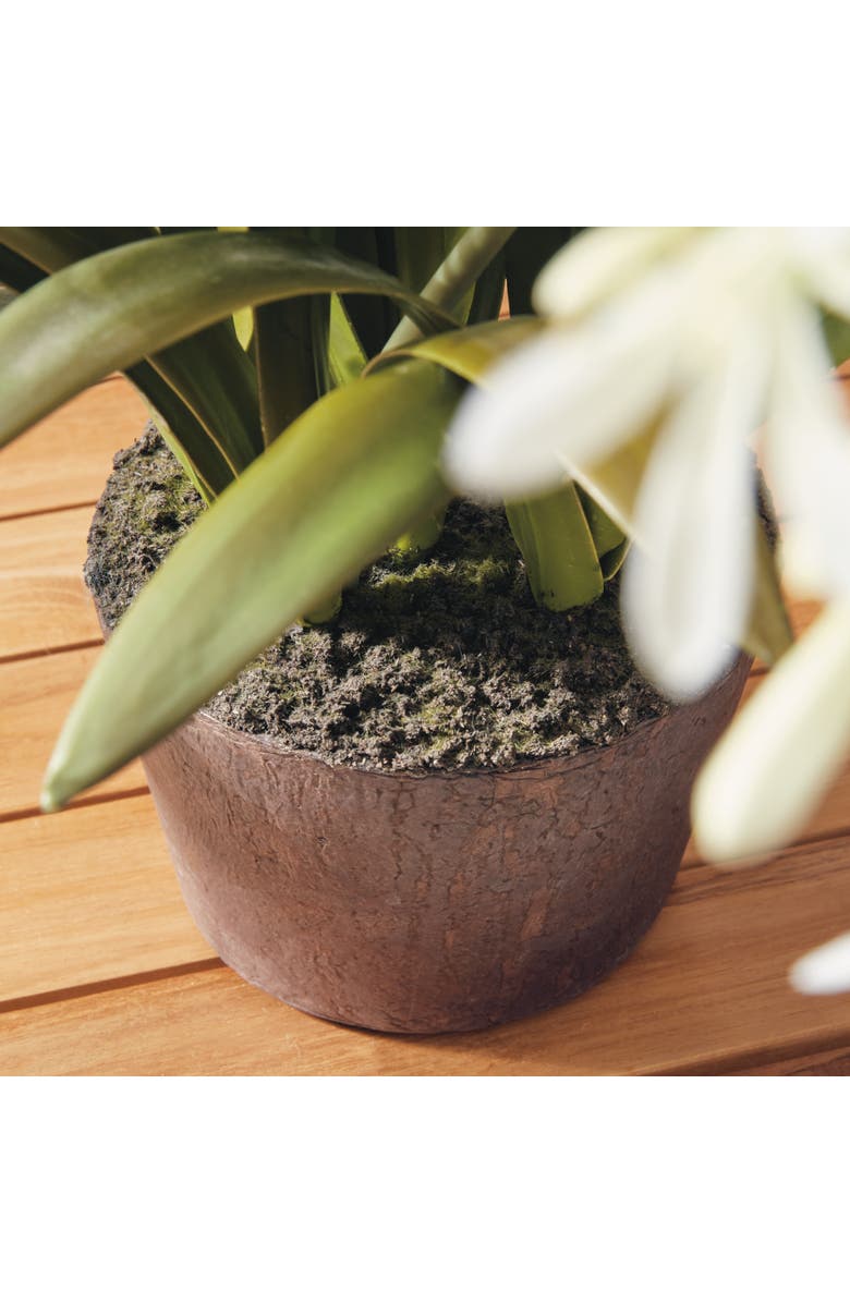 Napa Home & Garden Agapanthus Drop-In Faux (Fake) 29", Alternate, color, 