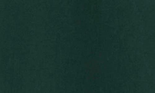 Zegarie Green Shawl Collar 3-piece Tuxedo In Green