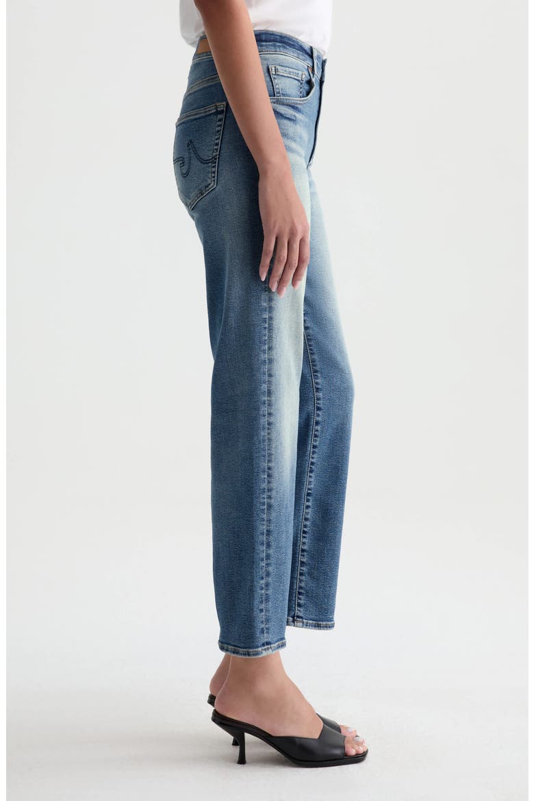 Brinley Mid Rise Crop Straight Leg Jeans, Alternate, color, 15 YEARS BOUQUET