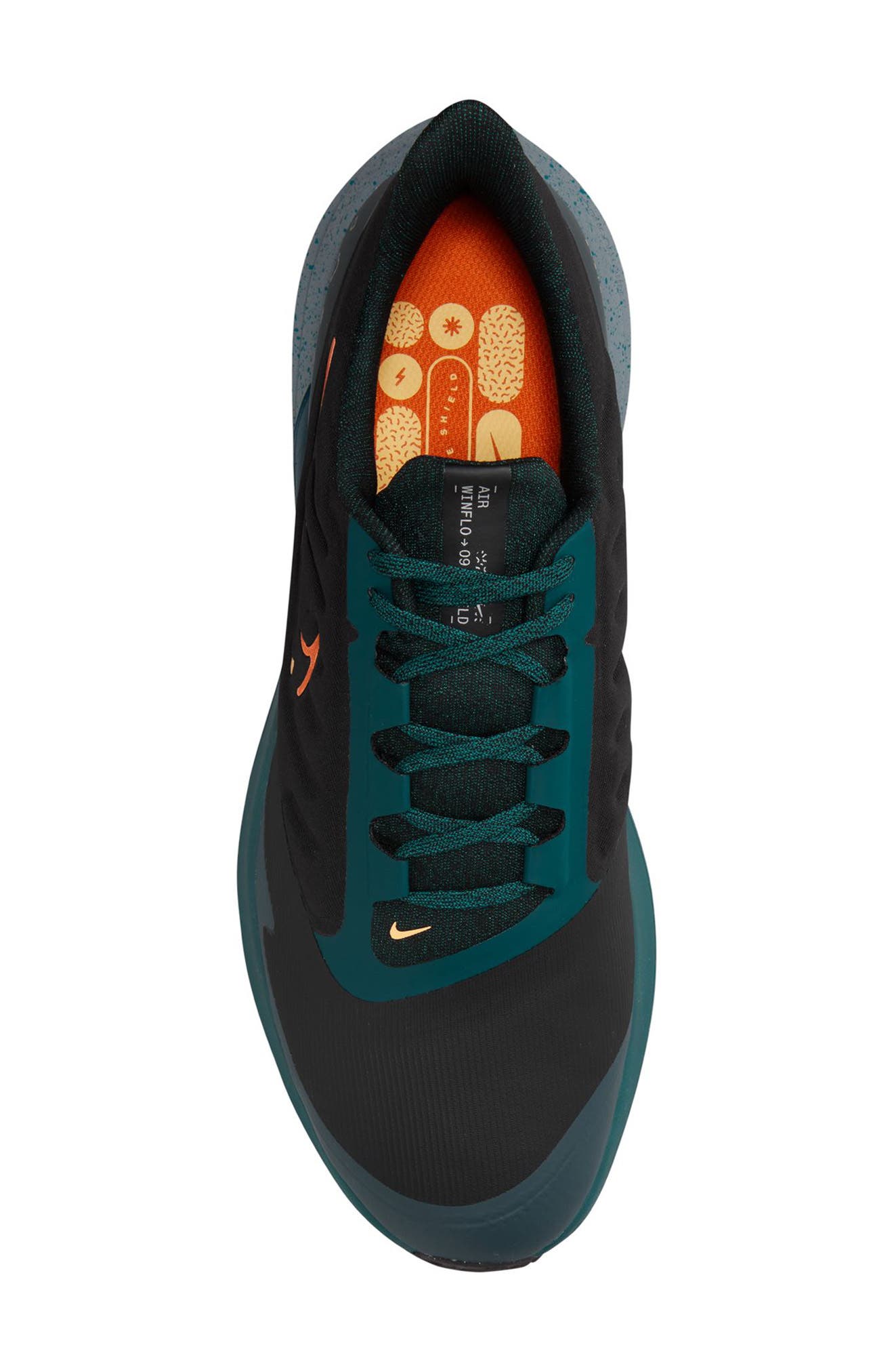 Nike Air Winflo 9 Water Repellent Running Shoe, Alternate, color, 