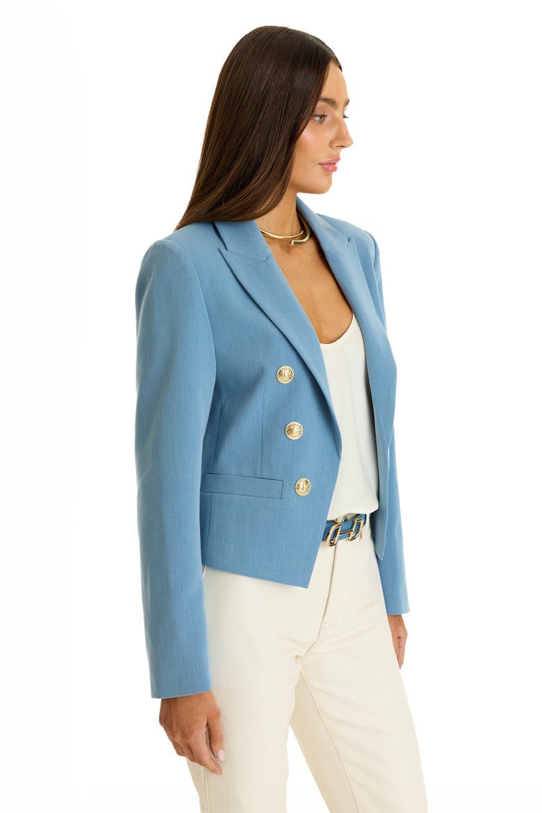 Gabrielle Tweed Double Breasted Blazer, Alternate, color, Serene Blue