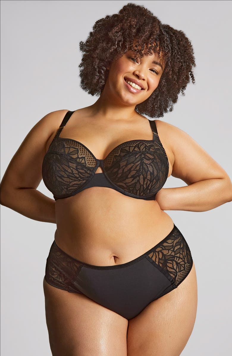 Panache Sophia Underwire Lace Bra, Alternate, color, Black