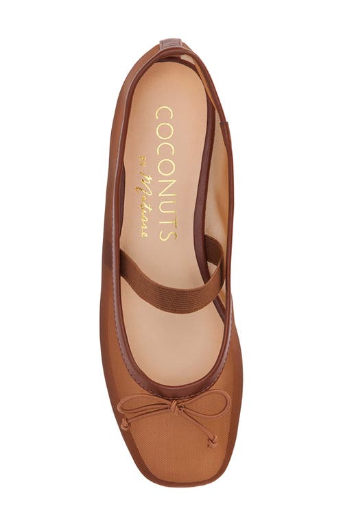Coconuts By Matisse Bronx Mesh Ballerina Flat In Brown Mesh