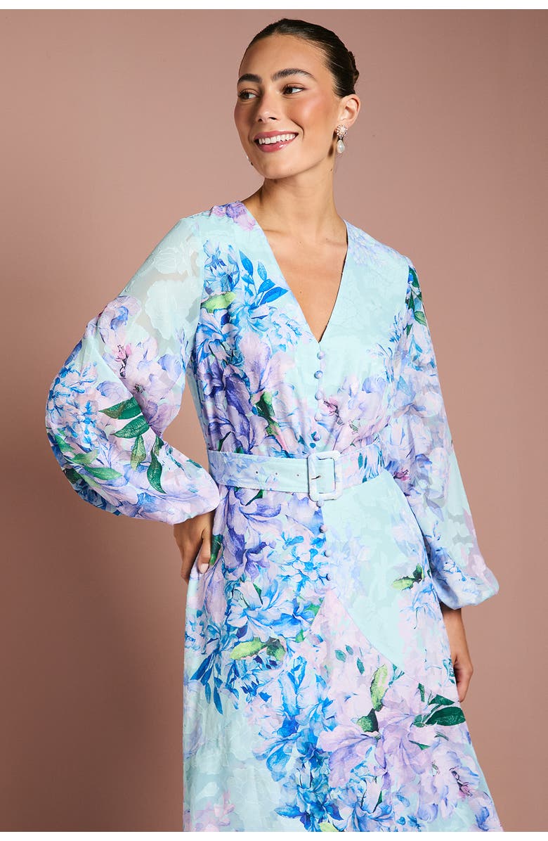 Coast Long Sleeve Chiffon Belted Maxi Dress, Alternate, color, Blue