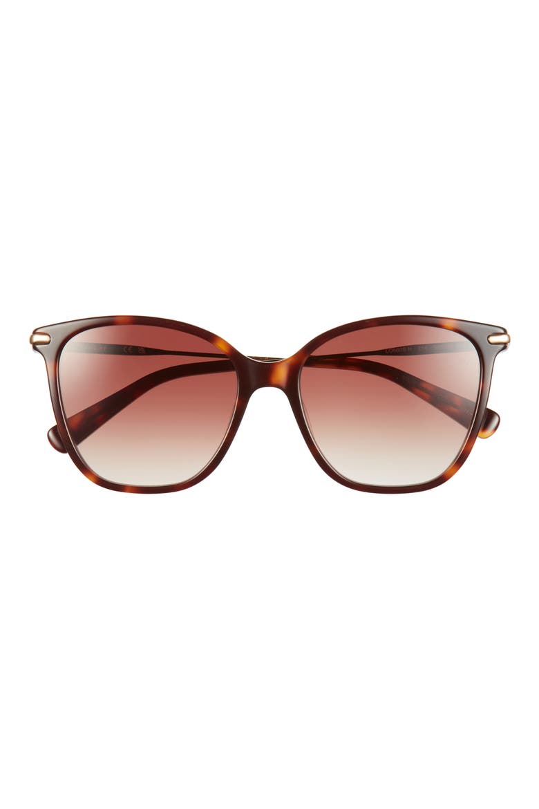 54mm Cat Eye Gradient Sunglasses, Main, color, HAVANA