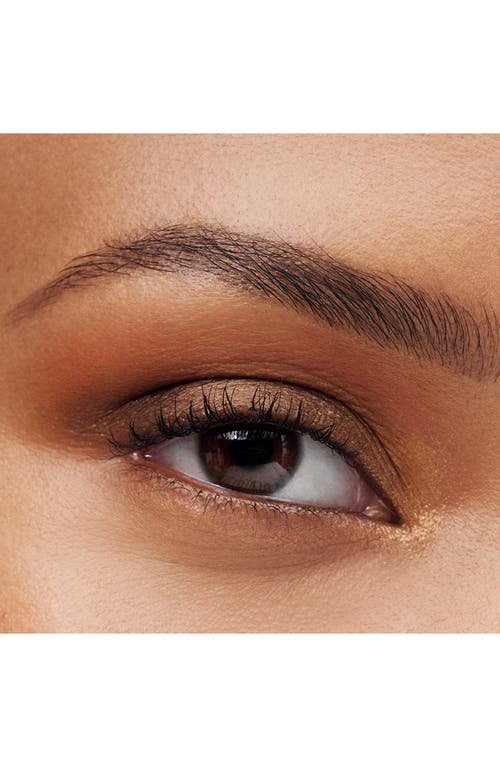 Estée Lauder Essential Eyeshadow Quad