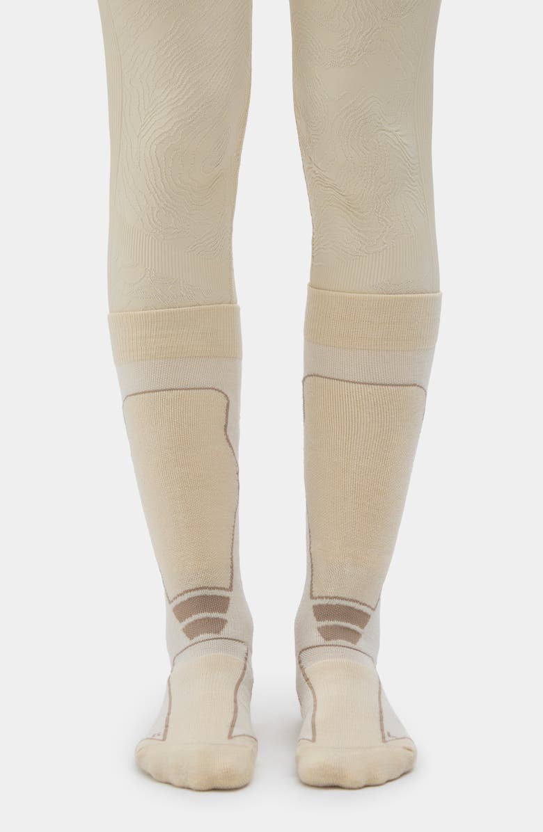 Halfdays Light Cushion Ski Merino Wool Blend Crew Socks, Alternate, color, 