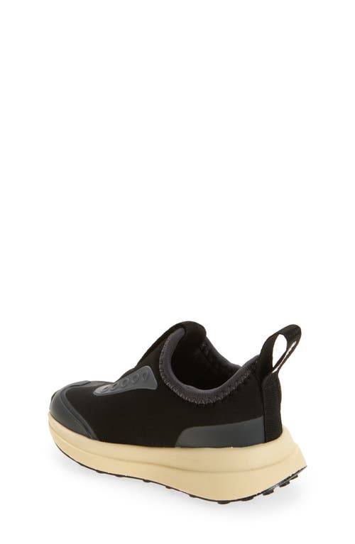 Native Shoes Robbie Dash Slip-on Sneaker In Black