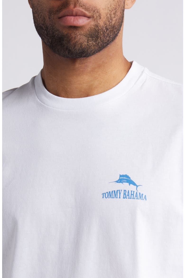 Bro Fly Zone Crewneck Graphic T-Shirt, Alternate, color, WHITE