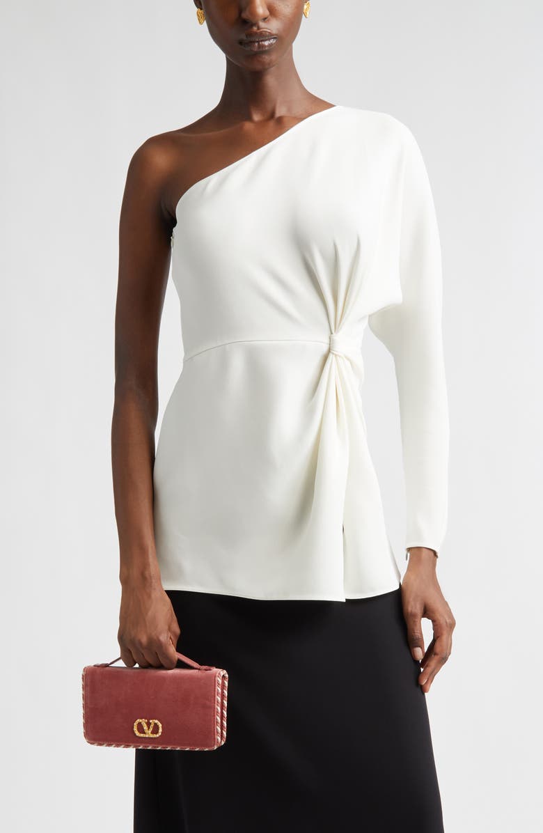 Valentino Garavani VLOGO Signature Velvet Wallet on a Chain, Alternate, color, 