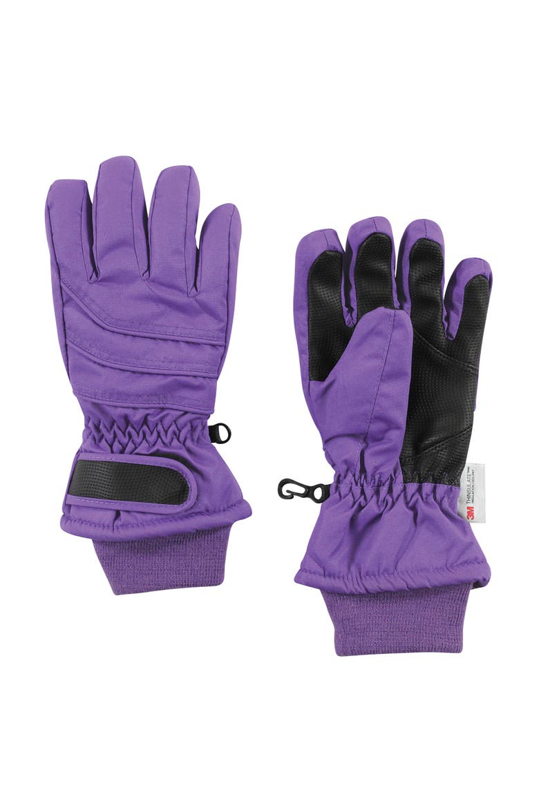 Snow Gloves, Main, color, Purple