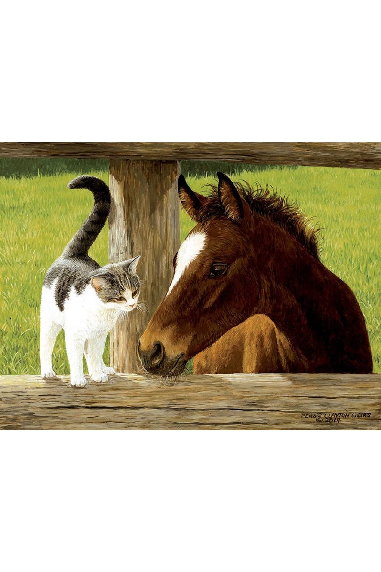 A Whiskery Hello 500 piece Jigsaw Puzzle for Adults, Alternate, color, Multicolor
