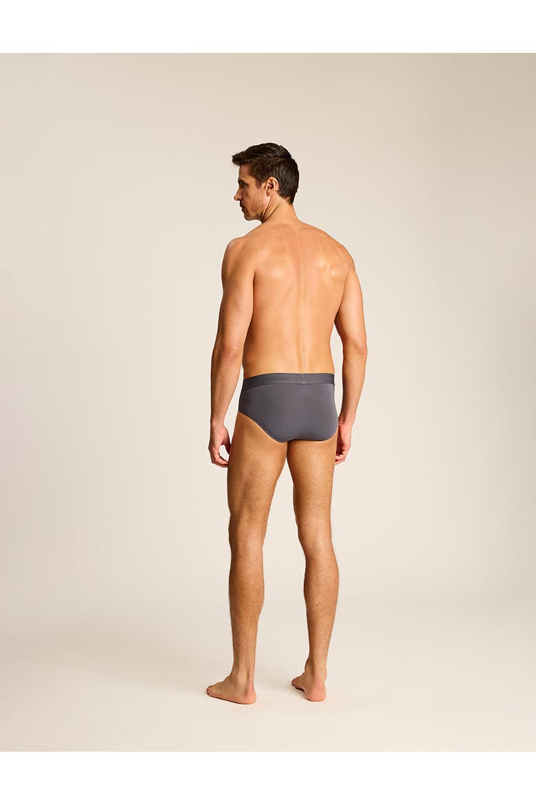 Essential Modal Modern Fit Brief, Alternate, color, Titanium