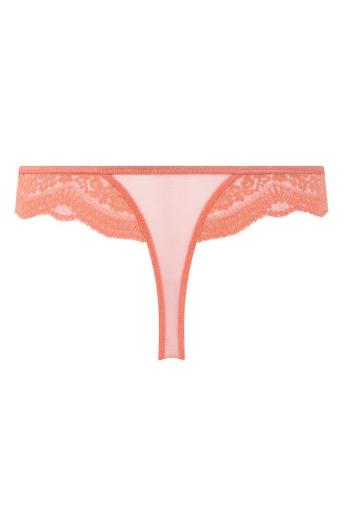 Hunkemoller Hunkemöller Robijin Embroidered Mesh Thong In Lantana