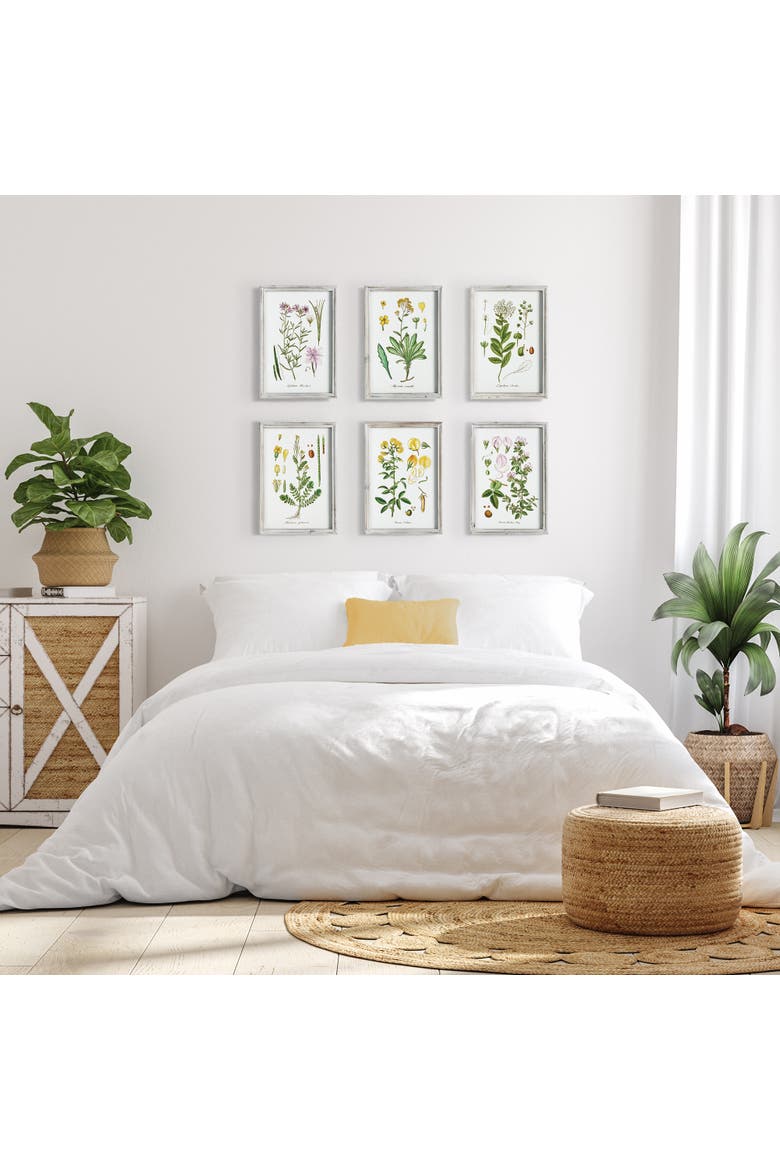 Perennial Botanical Study, Set Of 6, Alternate, color, Green