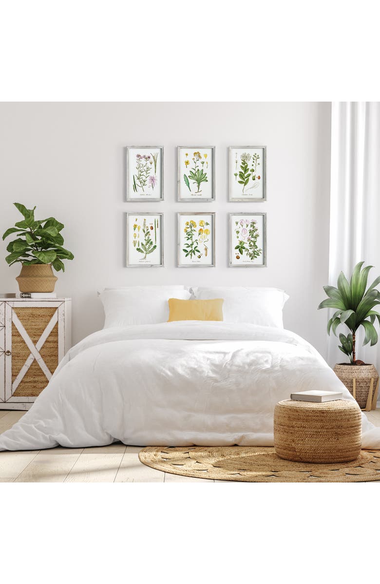 Napa Home & Garden Perennial Botanical Study, Set Of 6, Alternate, color, Green