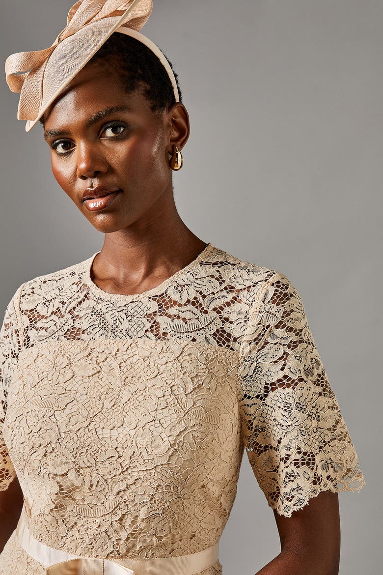 Lace And Crepe Full Skirted Midi Dress, Alternate, color, Champagne