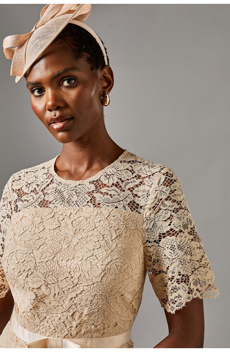 Coast Lace And Crepe Full Skirted Midi Dress, Alternate, color, 