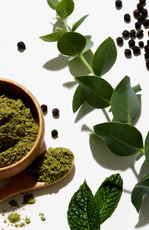 Notice Hair Co. Stimulator Shampoo & Conditioner Bar Travel Set In Green