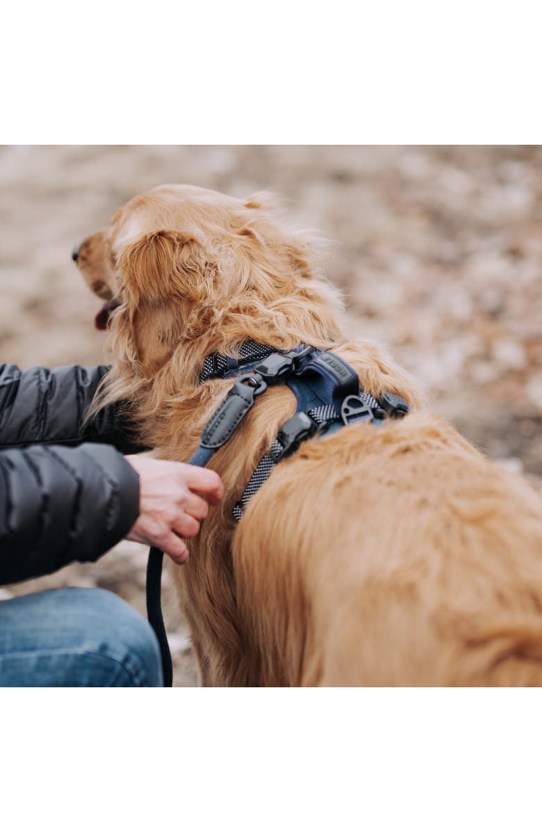HOOZA Rope Dog Leash 1 Inch x 5 Feet, Alternate, color, Blue