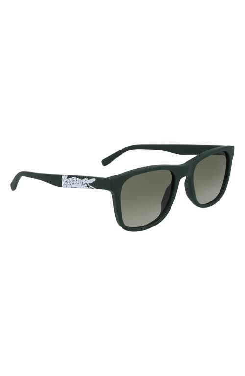 Lacoste 53mm Square Sunglasses In Green