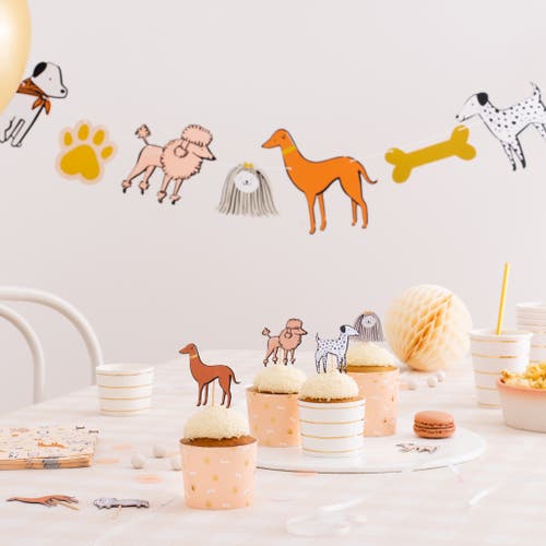 Daydream Society Bow Wow Cupcake Decorating Set In Multi