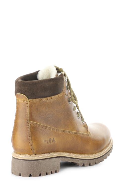 Bos. & Co. Hartt Waterproof Boot In Brown