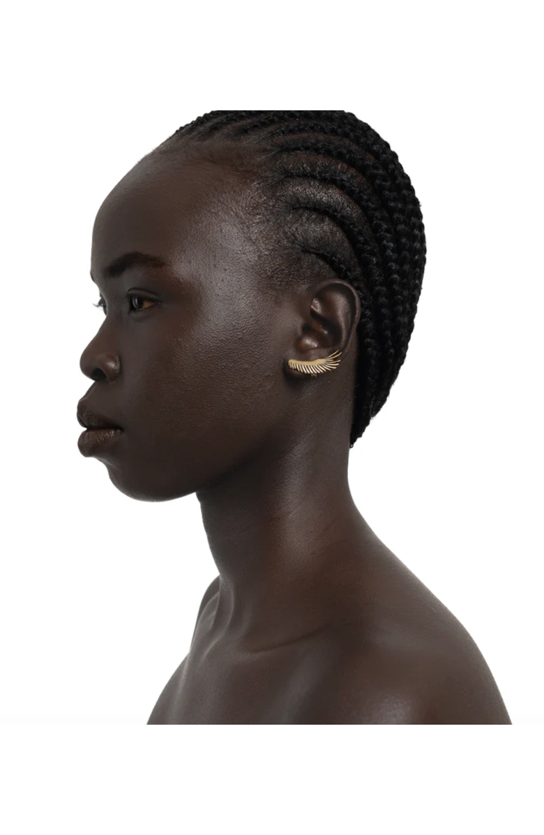 Kapoeta by Ambica Vulture Wing Earrings, Alternate, color, Silver