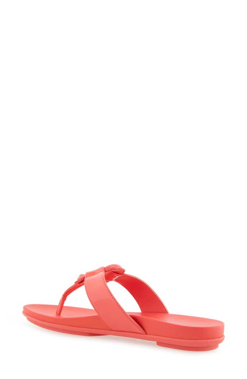 AEROSOLES AEROSOLES FALLON HARNESS SANDAL