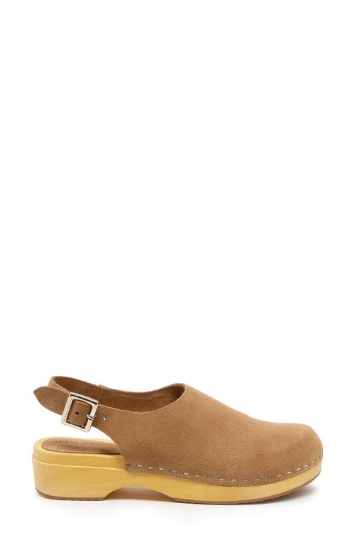 Kelsi Dagger Brooklyn Nash Slingback Platform Clog In Brown