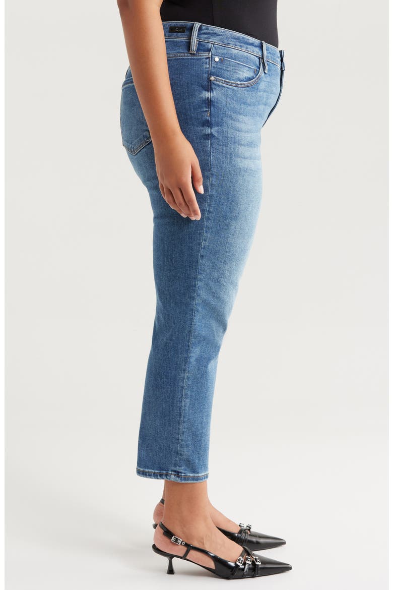 Kennedy Crop Straight Leg Jeans, Alternate, color, MCALLASTER