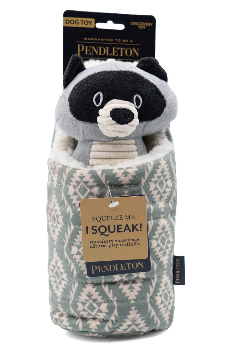 Camp Pal Dog Toy, Alternate, color, RACOON