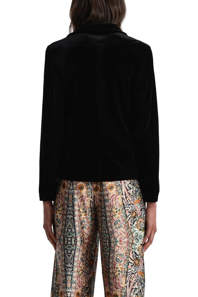 Velvet One-Button Blazer, Alternate, color, BLACK