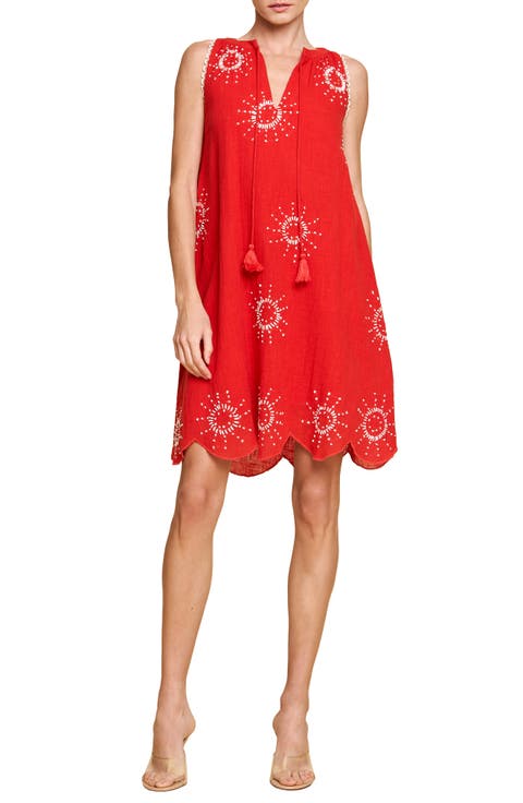 Kailani Embroidered Sleeveless A-Line Dress