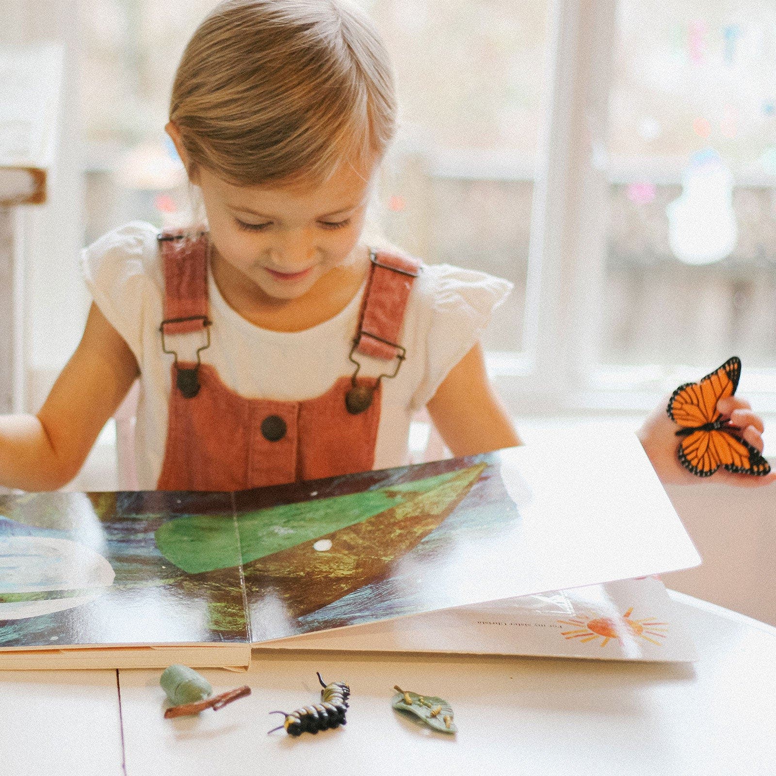 Safari Ltd. Life Cycle Of A Monarch Butterfly | Nordstrom