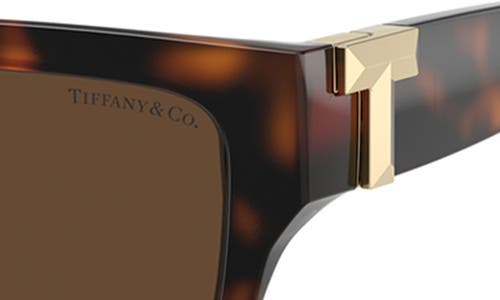 Tiffany & Co . 56mm Rectangular Sunglasses In Havana