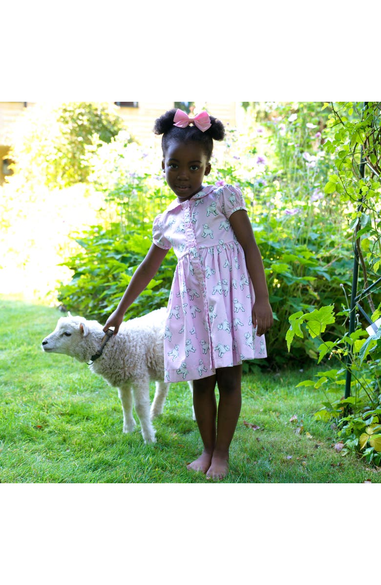 Rachel Riley Lamb Button-Front Dress, Alternate, color, 