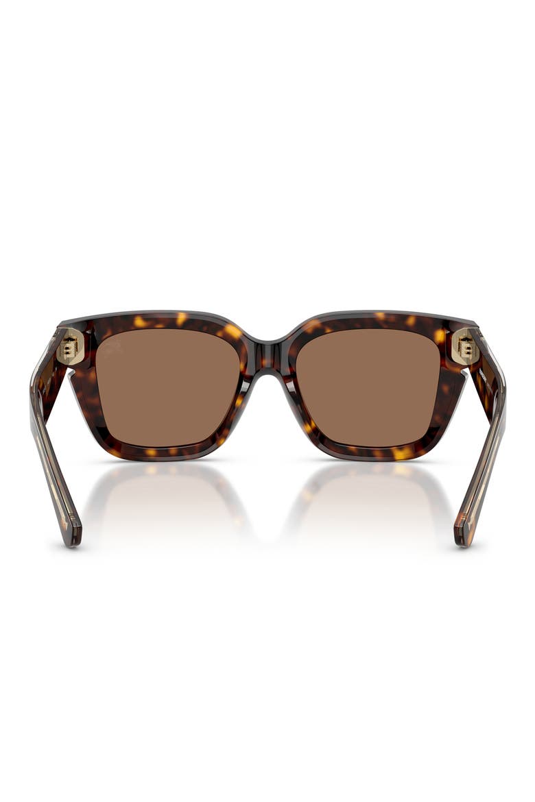 54mm Square Sunglasses, Alternate, color, DARK HAVANA / DARK BROWN