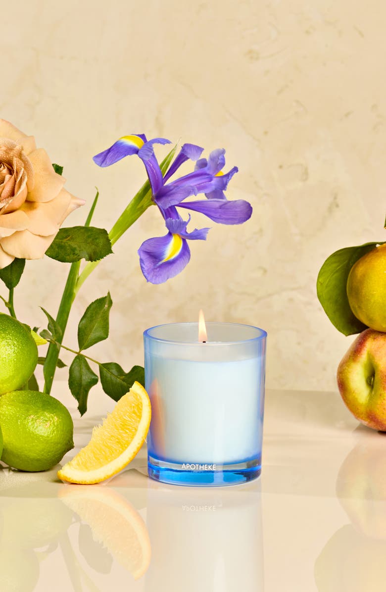 APOTHEKE Canvas Petite Scented Candle, Alternate, color,