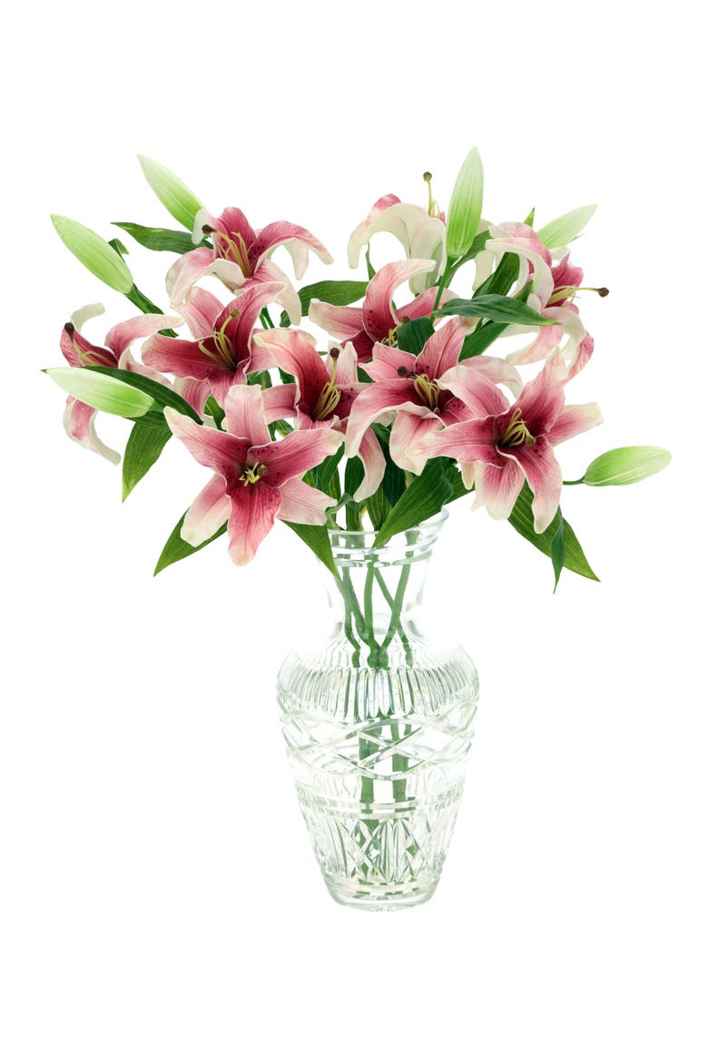 Majestic Lily Natural Touch, Box of 6, Alternate, color, Magenta